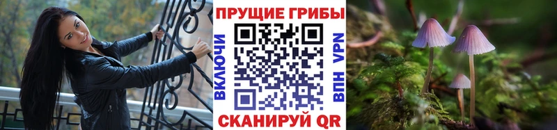 ОМГ ОМГ как зайти  Полысаево  Галлюциногенные грибы Psilocybe 