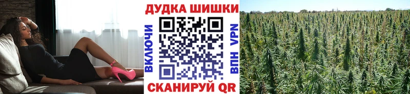 Бошки Шишки планчик  Полысаево 